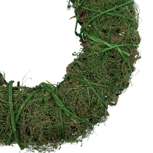 Green Moss and Twig Artificial Spring Wreath, 12-Inch