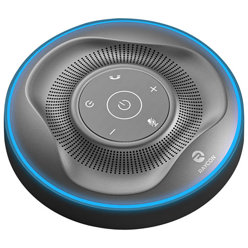 Haut-parleur sans fil Bluetooth The Work de Raycon - Gris/Noir