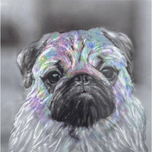 PETERSON ARTWARES  Innocent Pug Metal Wall Art