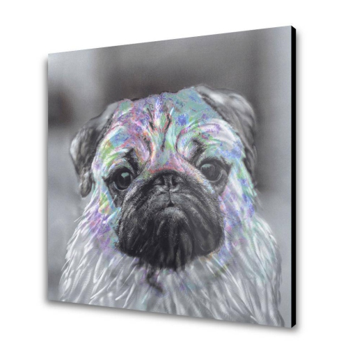 Innocent Pug Metal Wall Art