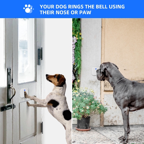 Sonnettes pour chien pour l'apprentissage de la propreté avec bouton tactile étanche comprenant 1 récepteur et 2 boutons - LIVINGbasics®