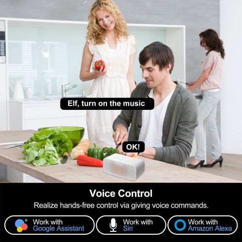 2.4Ghz 2-Outlet Outdoor Indoor Wi-Fi Smart Socket with Timer, Compatible with Alexa, Google Home - PrimeCables®