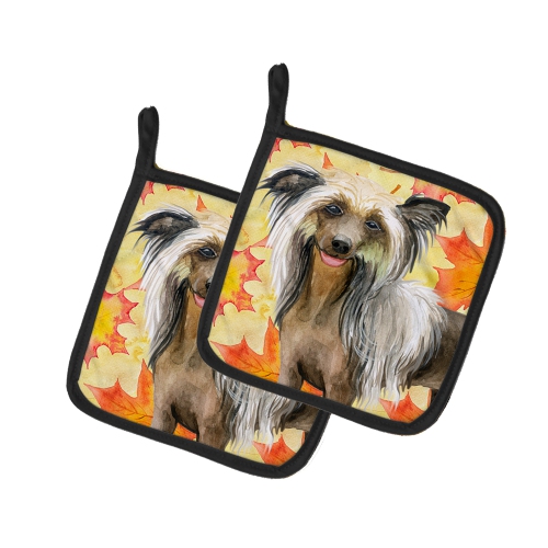 Caroline's Treasures BB9920PTHD Chinese Crested Fall Pair of Pot Holders, 7.5HX7.5W, multicolor