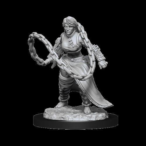 WizKids Games Dungeons & Dragons Nolzur's Marvelous Unpainted Miniatures: Human Monk