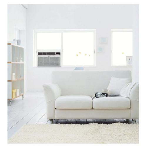 Climatiseur de fenêtre de 115 V de 6,000 BTU de LG, 250 po2 Pi Avec télécommande