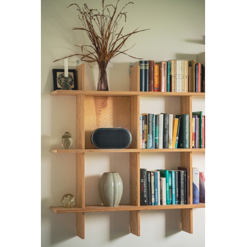 DALI KATCH G2 Portable Bluetooth Speaker