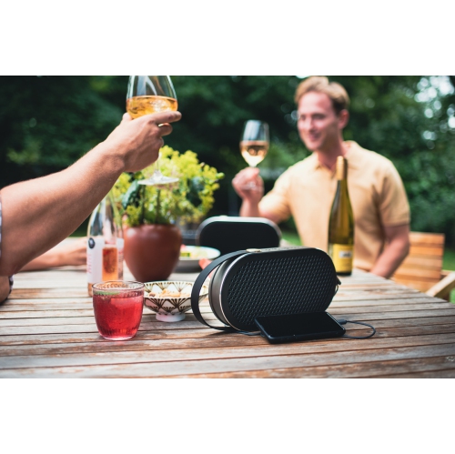 DALI KATCH G2 Portable Bluetooth Speaker