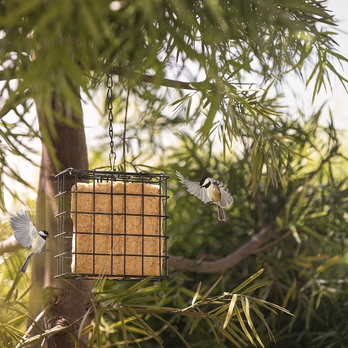 Mangeoire pour oiseaux sauvages MeKKKAKPRO avec toit en métal suspendu, capacité d'un suif, alimentation recommandée pour les oiseaux
