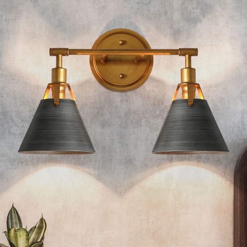 Modern 2-Light Brushed Dark Silver Vanity Light