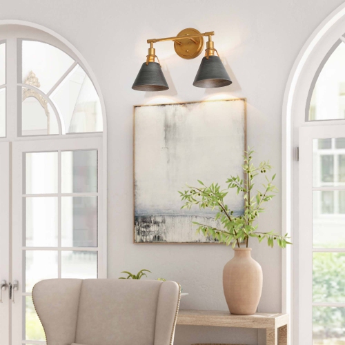 Modern 2-Light Brushed Dark Silver Vanity Light