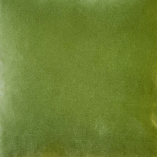 Castello Summer Green Velvet Throw Pillow 20x20 with Polyfill Pillow Insert