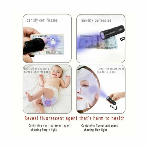 Vansky UV Flashlight Black Light 12 LED Ultraviolet Detector