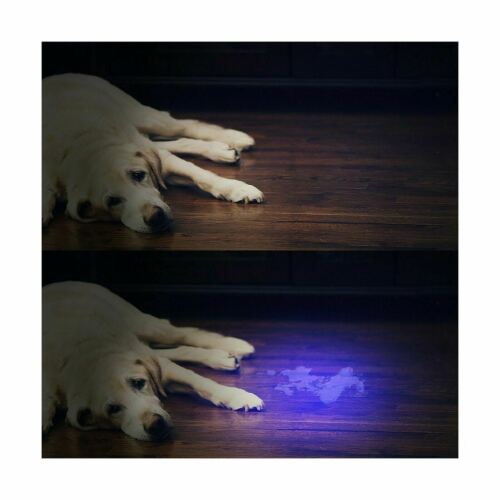 Vansky UV Flashlight Black Light 12 LED Ultraviolet Detector