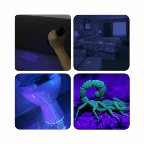 Vansky UV Flashlight Black Light 12 LED Ultraviolet Detector