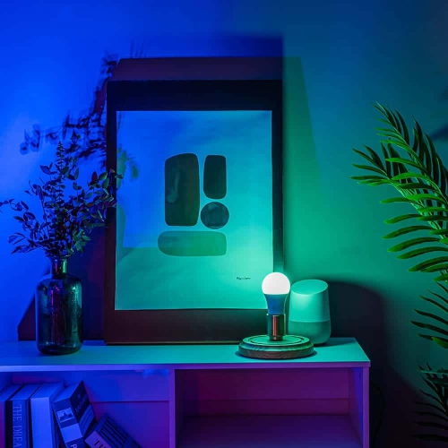 Ampoule Led Intelligente WiFi Ampoule avec Télécommande, Dimmable Multicolore A19 E26 Fonctionne avec Alexa, Google Home - LIVINGbasics