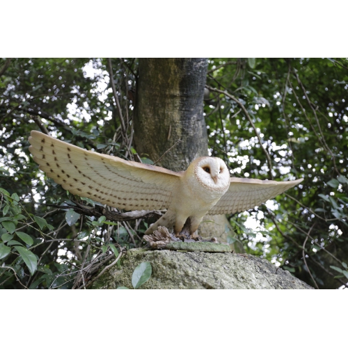 Hi-Line Gift Ltd Barn Owl Flying Garden Statue