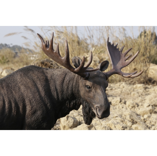 Hi-Line Gift Ltd Standing Moose Garden Statue