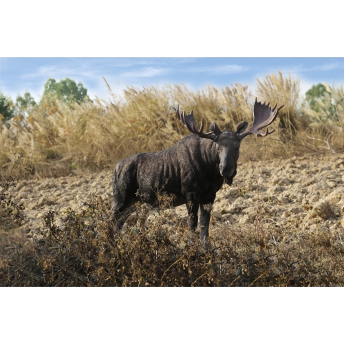 Hi-Line Gift Ltd Standing Moose Garden Statue