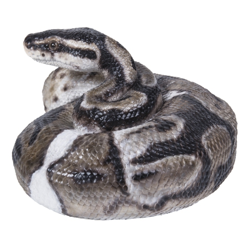 Hi-Line Gift Ltd Regius Ball Python Garden Statue