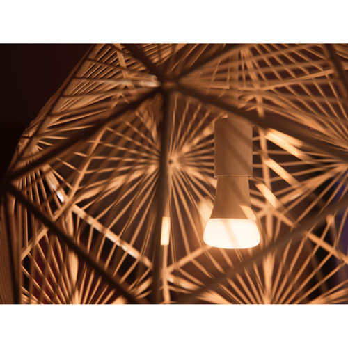 Ampoule DEL intelligente Hue A19 de Philips - Ambiance blanche