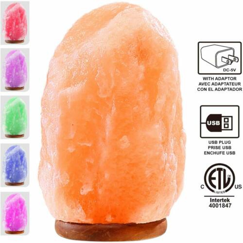 Himalayan Glow Natural Hand Carved Natural Crystal Himalayan Salt Night Lamp