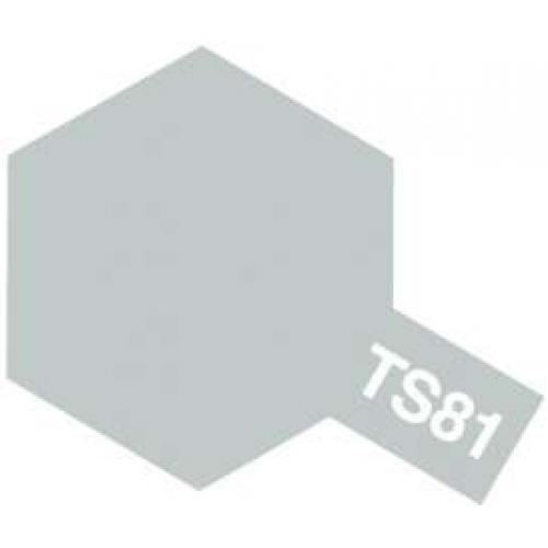 TS-81 Royal Light Gray 100ml