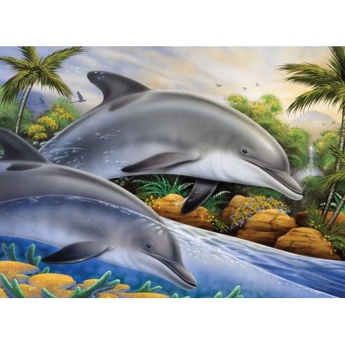 Dolphin Island Paint by Number
