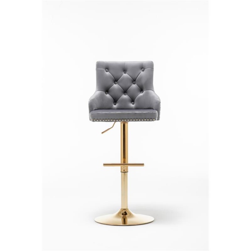 Brightcast 2-piece Velvet Tufted Gold Bar Stools in Dark Gray