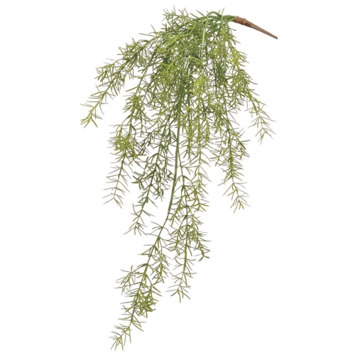 ALLSTATE  Soft Sprengeri Artificial Hanging Spray - 26" - In Green