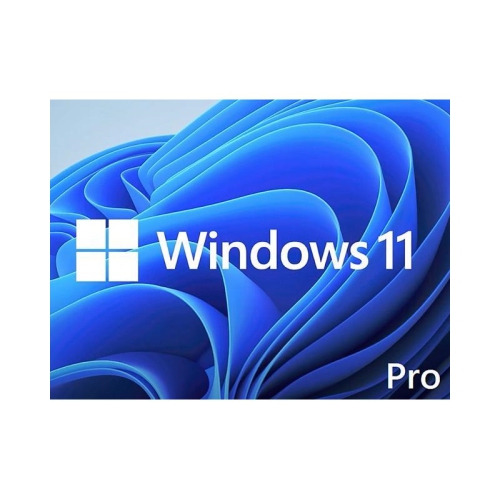 WINDOWS 11 PRO 64BIT ANGLAIS 1 DVD DSP OEI