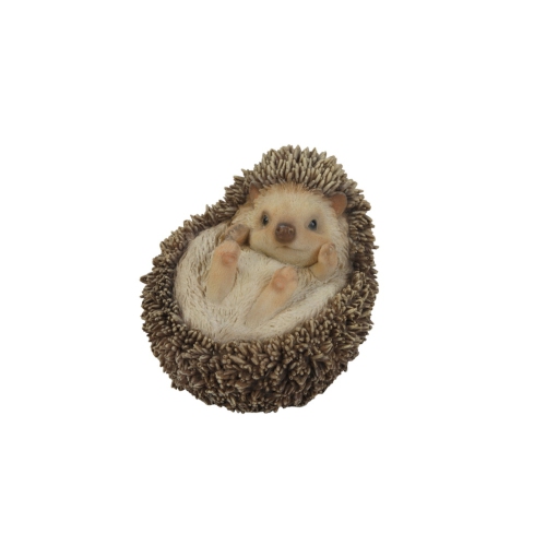 HI-LINE GIFT LTD  Hedgehog On Its Back