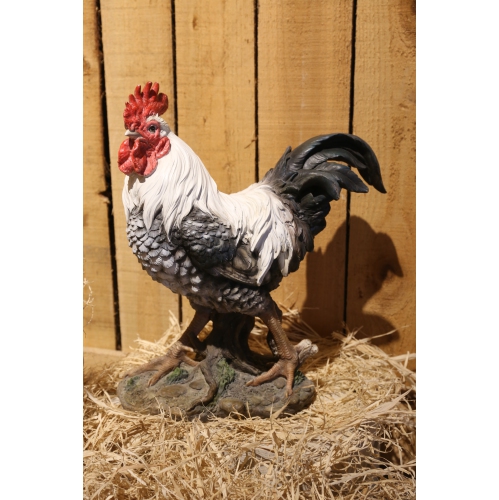 Hi-Line Gift Ltd Rooster - Black & White