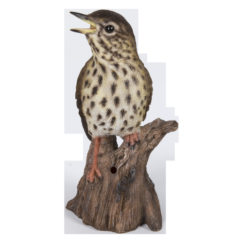 HI-LINE GIFT LTD  Songbird Standing On Stump With Sound Motion Sensor