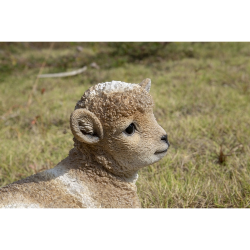 Hi-Line Gift Ltd Small Brown & White Baby Lamb Lying Down
