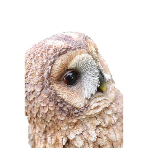 Hi-Line Gift Ltd Brown Owl On Stump