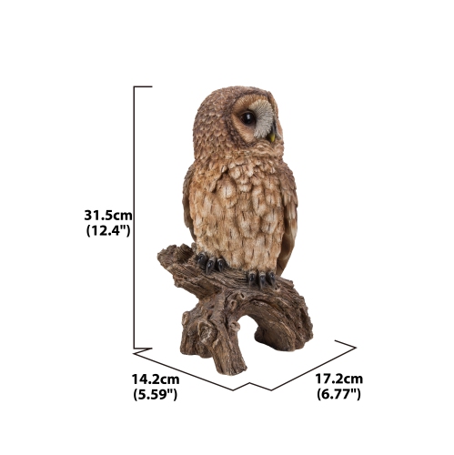 Hi-Line Gift Ltd Brown Owl On Stump
