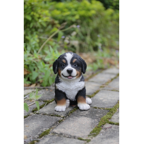 Hi-Line Gift Ltd Bernese Mountain Dog Puppy