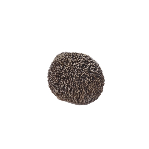 Hi-Line Gift Ltd Sitting Hedgehog