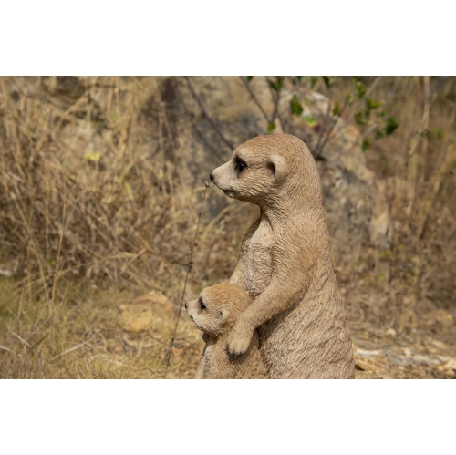 Hi-Line Gift Ltd Small Mother & Baby Meerkat