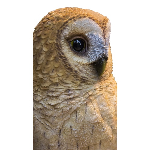 Hi-Line Gift Ltd Tawny Owl On Stump