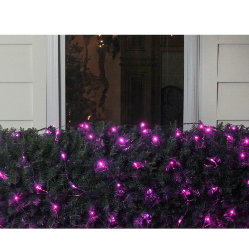 4' x 6' Raspberry Pink LED Wide Angle Net Style Christmas Lights - Green Wire