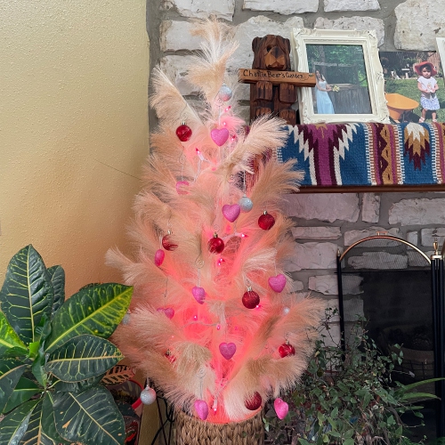 Ensemble de 50 mini lumières de Noël roses, fil blanc de 10 pi