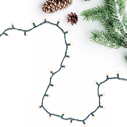 450-Count Clear Mini Christmas Light Set, 92ft Green Wire