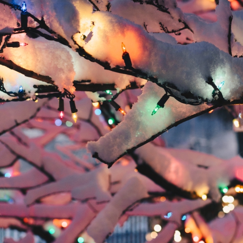 Set of 300 Multi-Color Mini Christmas Lights 2.5" Spacing - Green Wire