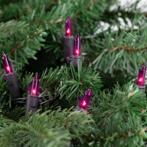 50-Count Purple Mini Christmas Lights Set, 10ft Black Wire