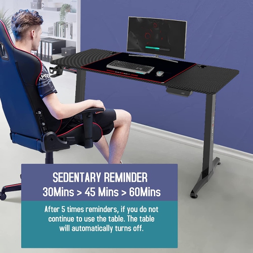 SK DEPOT 43"x 24"/110 x 60 cm Height Adjustable Electric Lift Standing Gaming Desk Ergotron Laptop Sit-Stand Desk Fit Large Area Work Surface Home