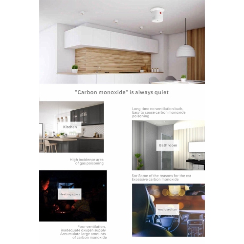 Capteur intelligent de monoxyde de carbone ZigBee
