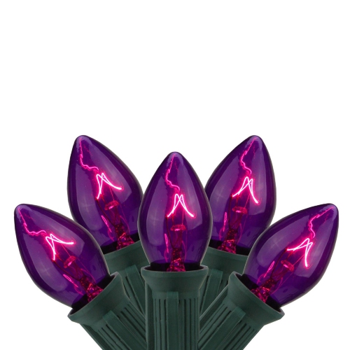 NORTHLIGHT  25-Count Purple C7 Transparent Christmas Light Set, 24Ft Wire In Green