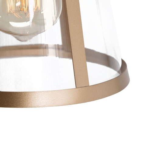 Modern 1-Light Single Cone Gold Pendant with Transparent Glass Shade