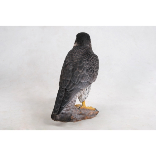 Hi-Line Gift Ltd Peregrine Falcon